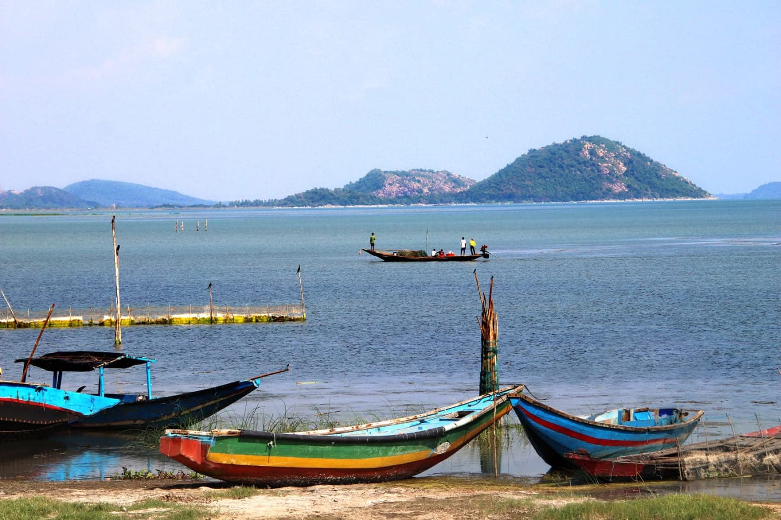 Satapada Amazing Chilika Tour