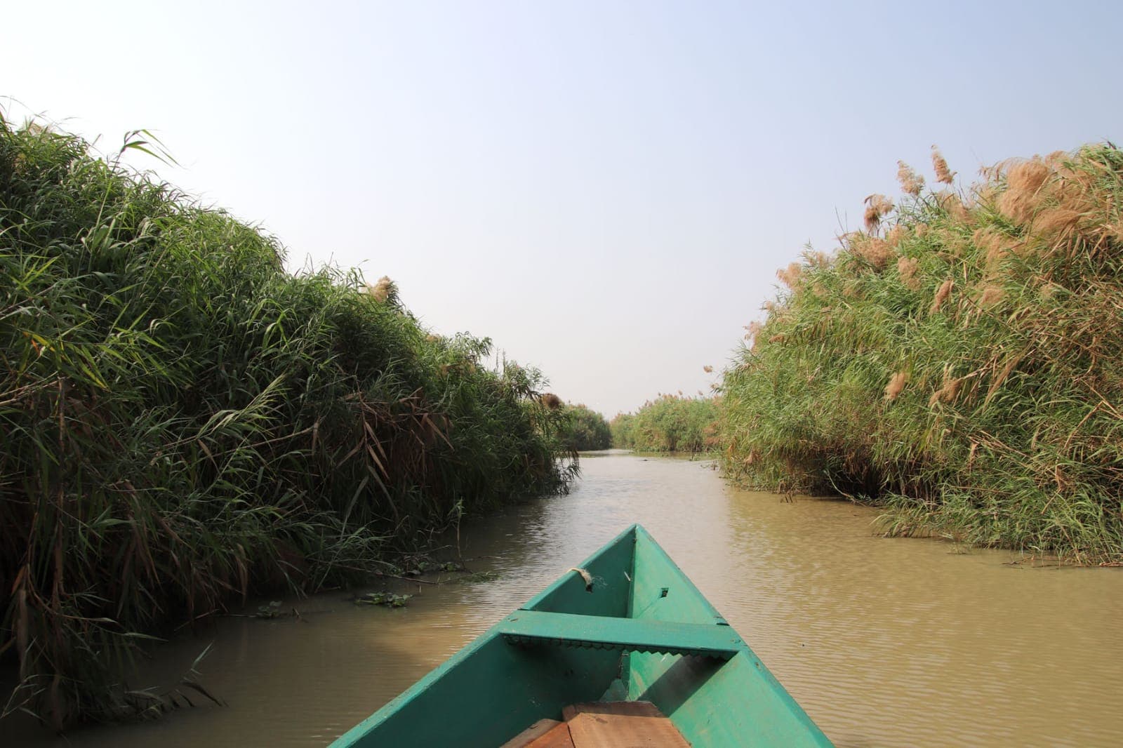 Chilika Lake