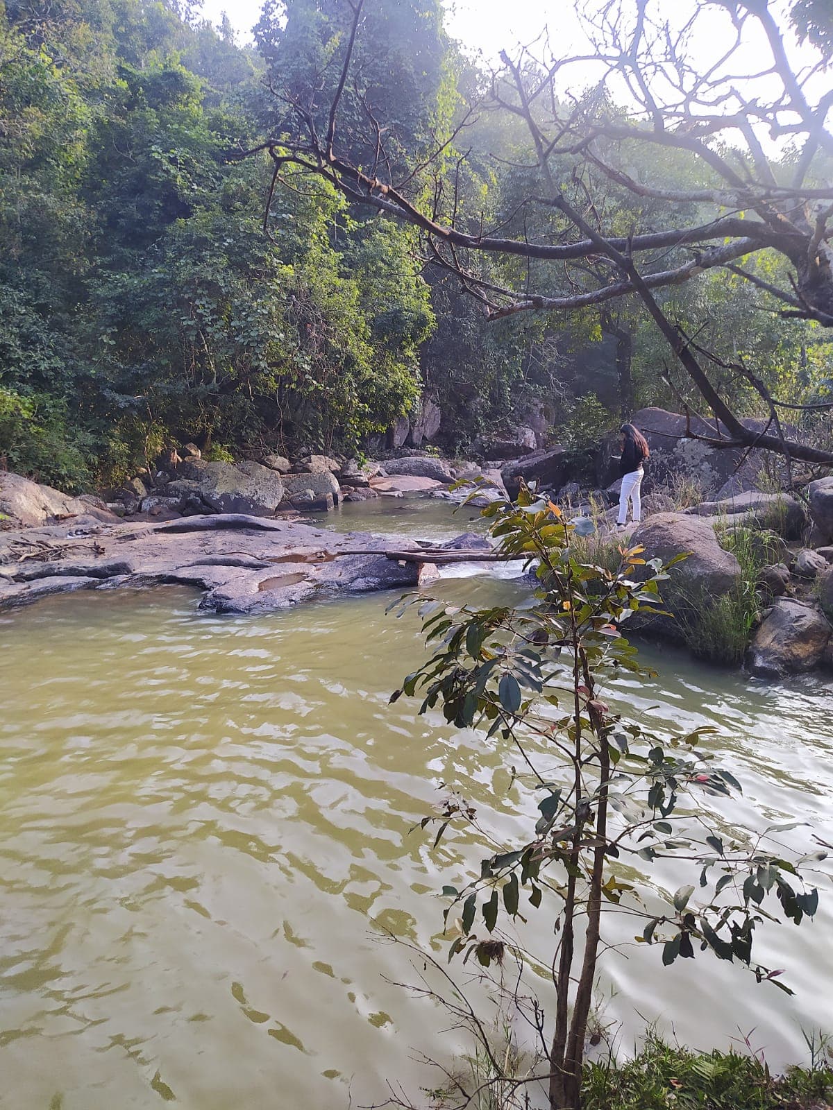 Daringbadi
