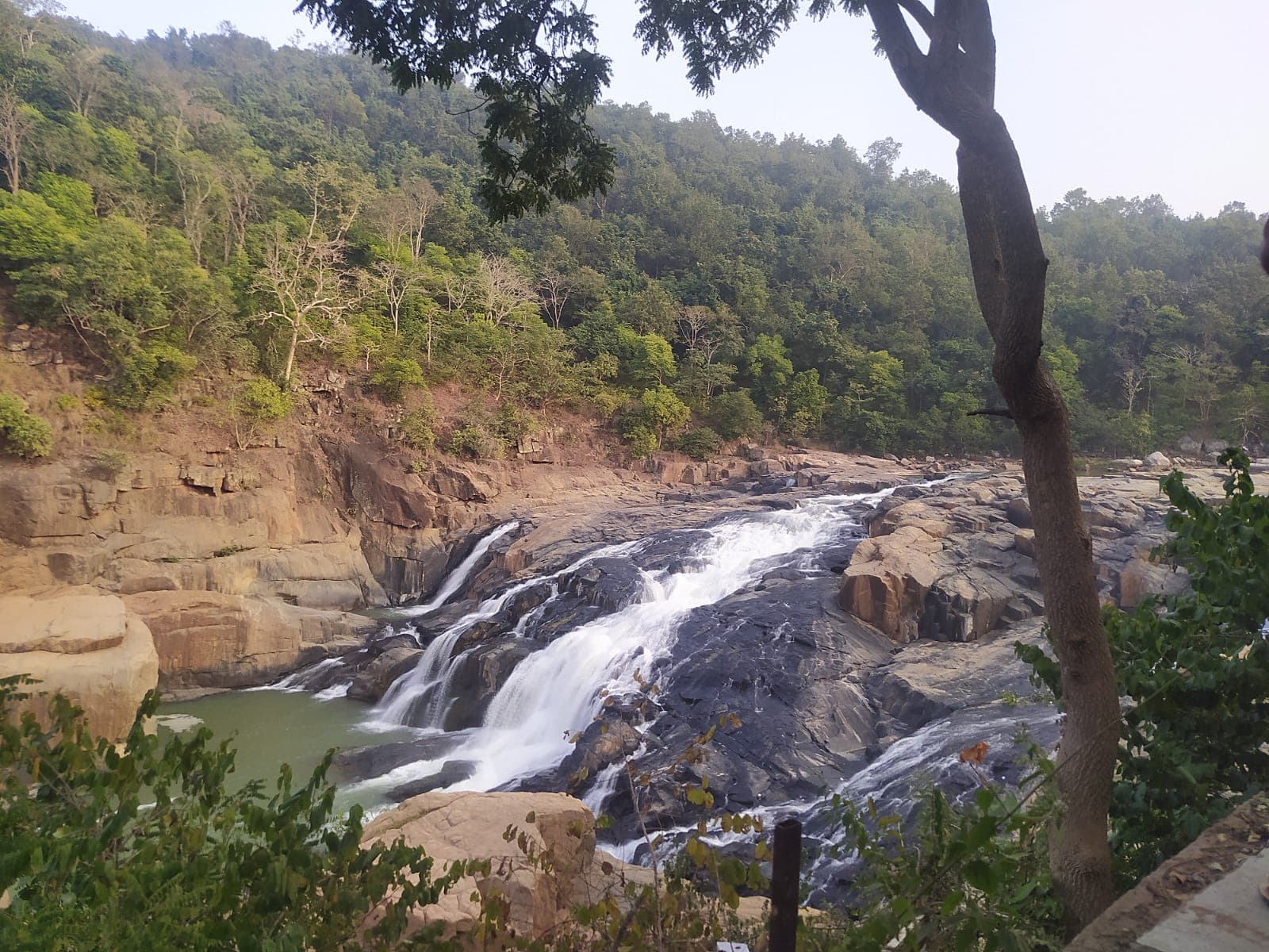 Daringbadi Nature Tour