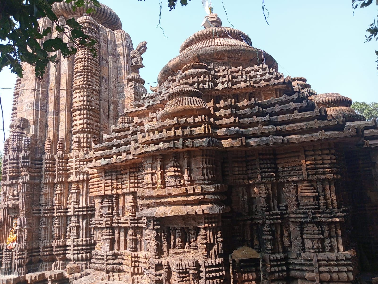 Manikapatna