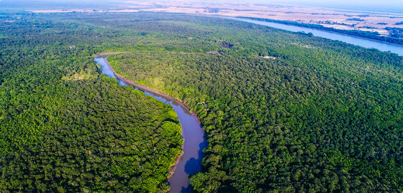 Mangrove waterways in Bhitarkanika Wildlife Sanctuary