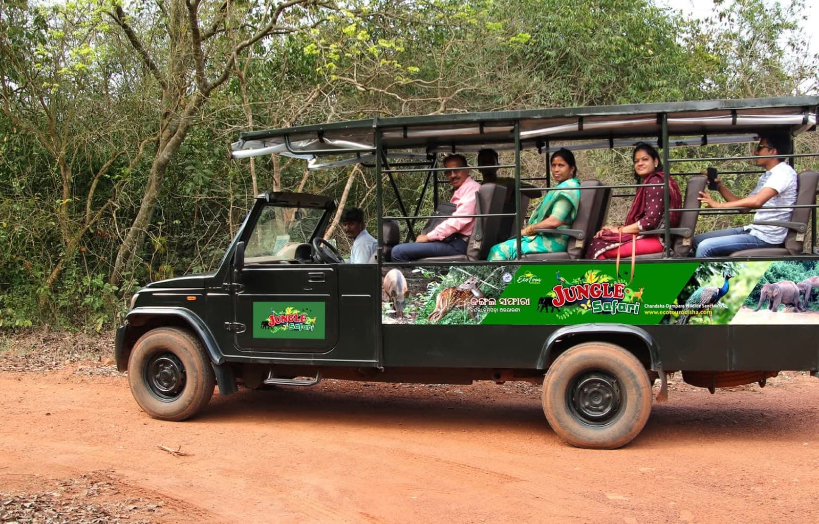 Wildlife Safari Tour
